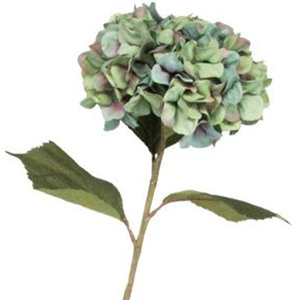 Gisela Graham Antique  Giant Hydrangea